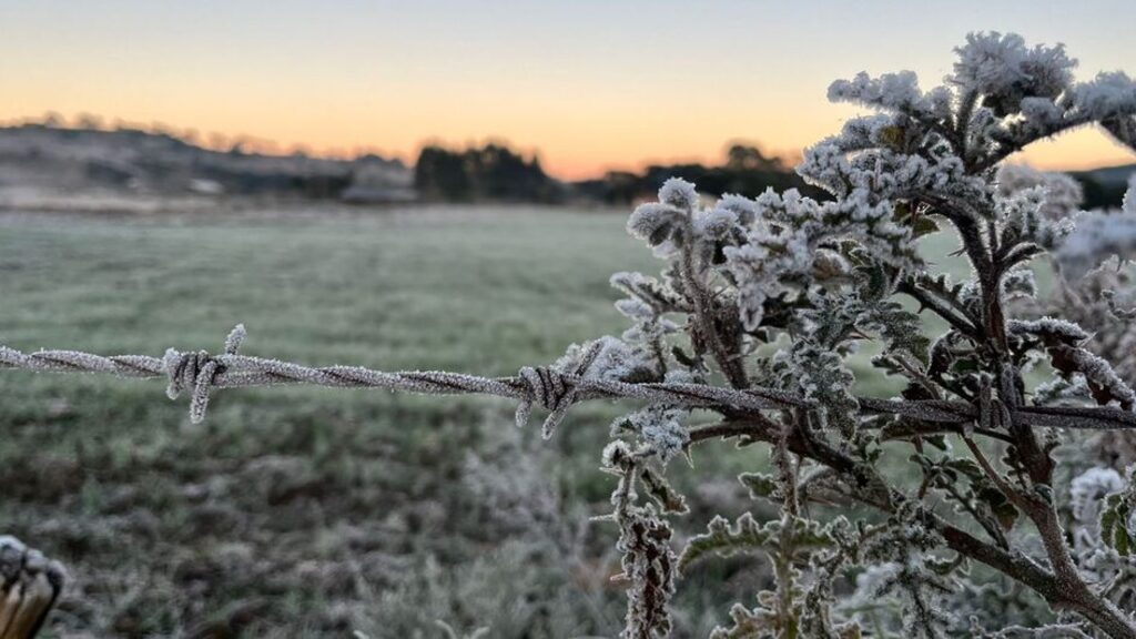 Urupema marca -4,4ºC e amanhece coberta por geada neste domingo