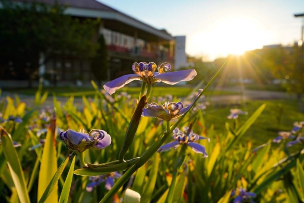 Primavera começa neste domingo com temperaturas acima da média em SC