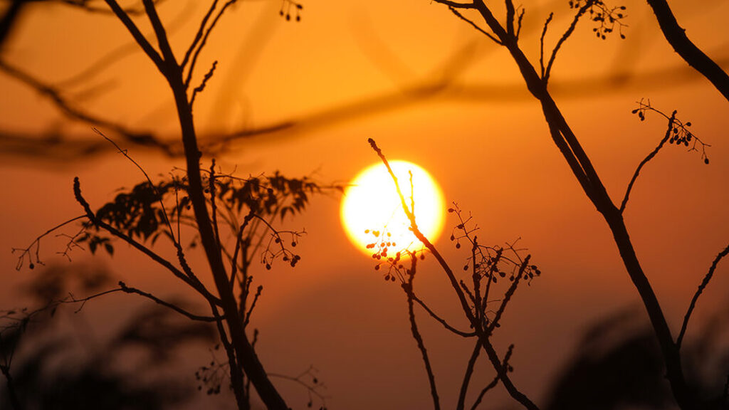 Calor intenso marca início da semana em Santa Catarina