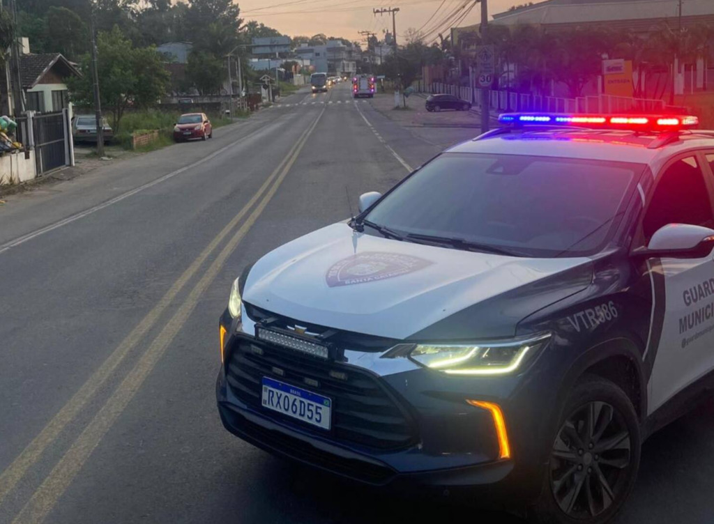 Homem atacado por enxame de abelhas é socorrido pela Guarda Municipal em Rio do Sul