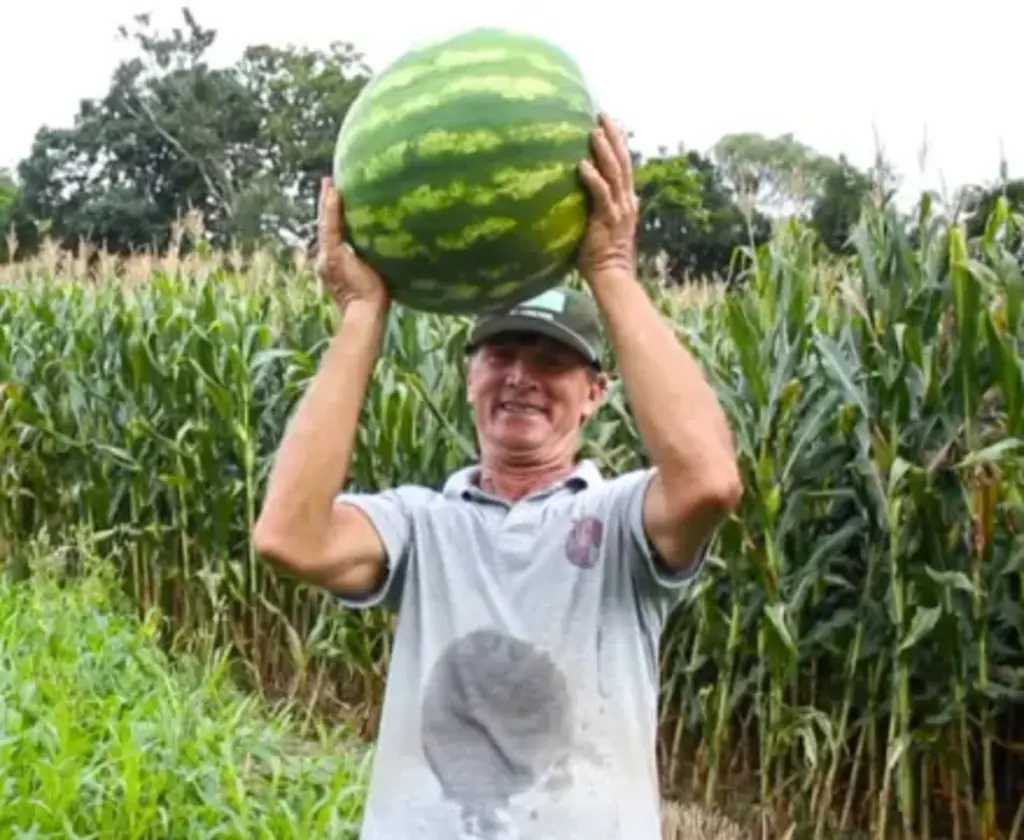 Agricultor que perdeu a vida em acidente com trator em Rio do Sul é identificado