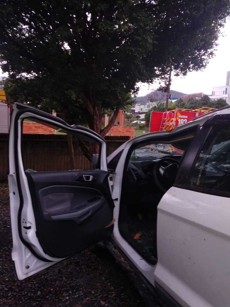 Árvore centenária cai e destrói carros durante temporal em Rio do Sul