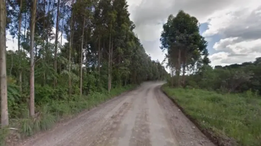 Projeto para a SC-114 é para pavimentação entre Itaiópolis e Santa Terezinha (foto: Google Maps - 