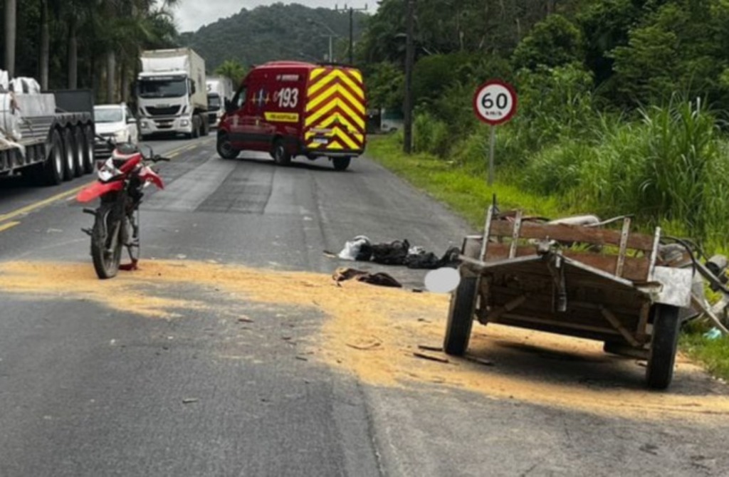 Motociclista morre após carretinha se soltar e atingir moto na BR-470