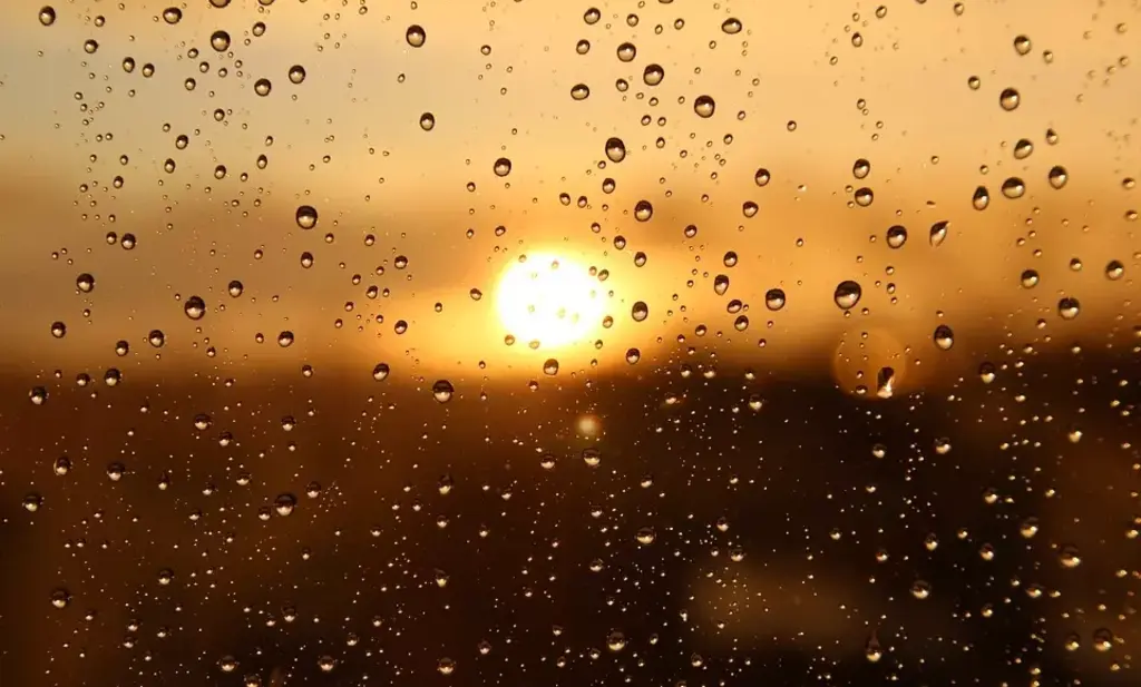 Chuva e calor marcam a sexta-feira em Santa Catarina