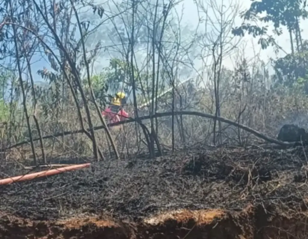 Incêndio consome vegetação em Presidente Getúlio