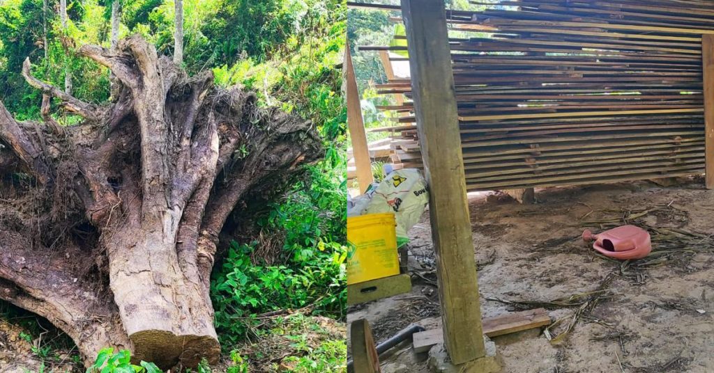 Aumenta tensão em disputa por terras na Fazenda Parolin entre Itaiópolis e Santa Terezinha